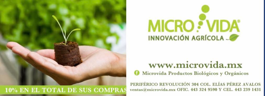 10% de Descuento en el Total de la Compra